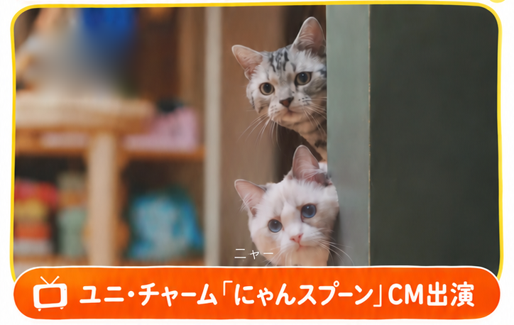 CMの一場面。ドアのかげから2匹の猫がのぞいている（字幕：ニャー）。ユニ・チャーム「にゃんスプーン」CM出演