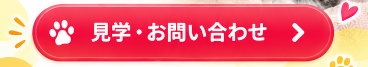 見学・お問い合わせ