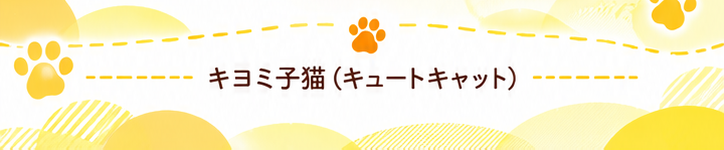 キヨミ子猫（キュートキャット）