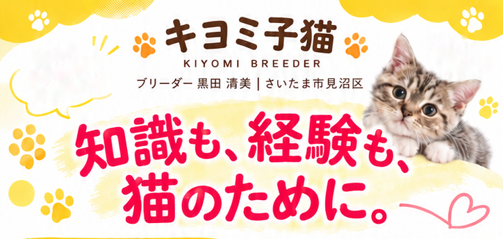 キヨミ子猫 KIYOMI BREEDER ブリーダー 黒田 清美 | さいたま市見沼区 知識も、経験も、猫のために。