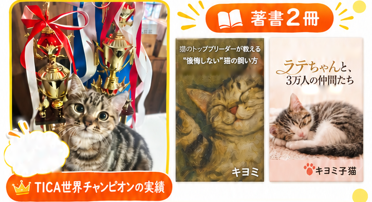 トロフィーとリボンの前に座る子猫。TICA世界チャンピオンの実績。著書2冊：「猫のトップブリーダーが教える“後悔しない”猫の飼い方」キヨミ、「ラテちゃんと、3万人の仲間たち」キヨミ子猫