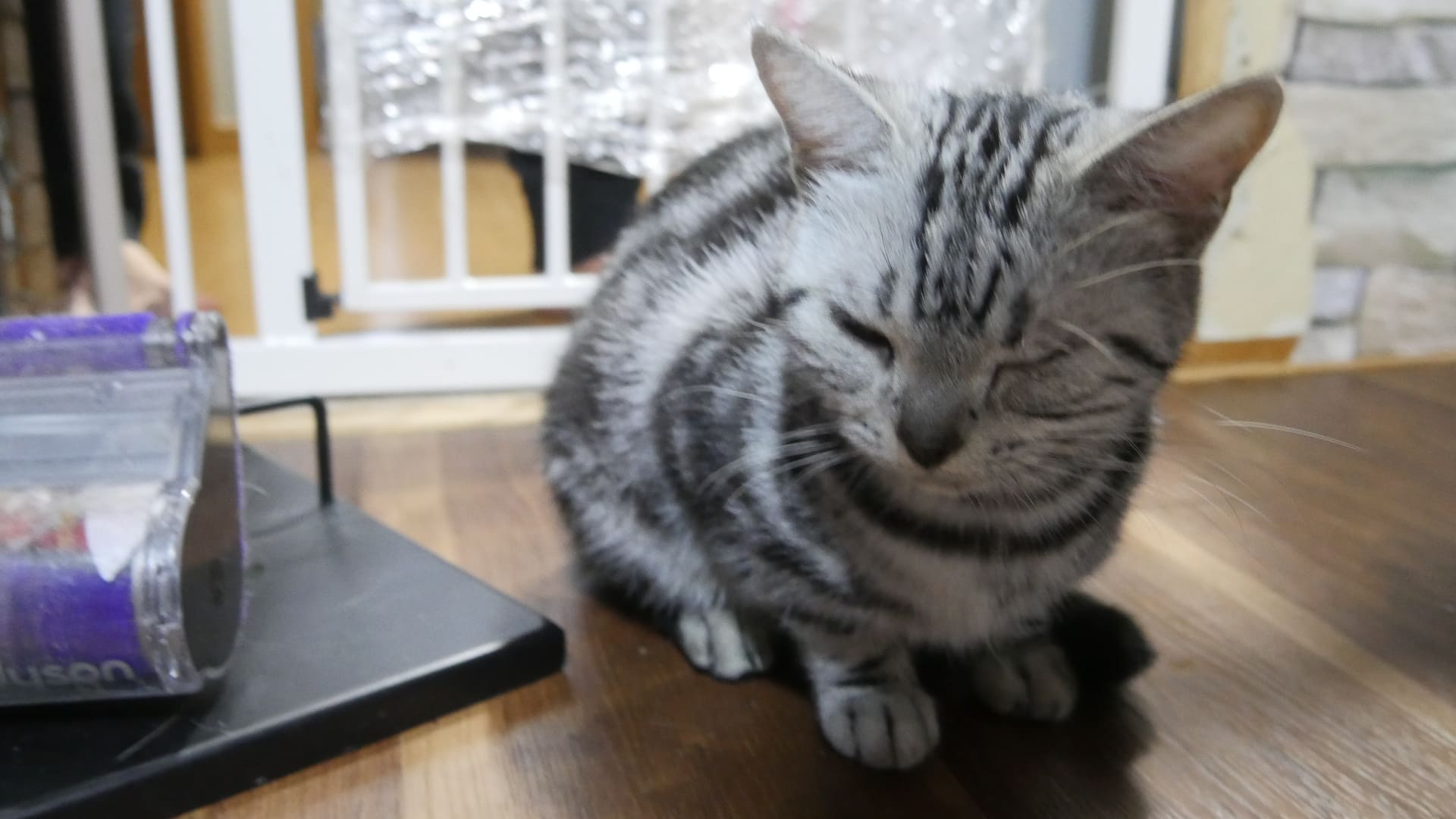 キャラ